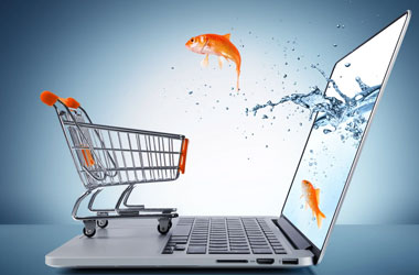 ecommerce website design in delhi,website design in delhi 